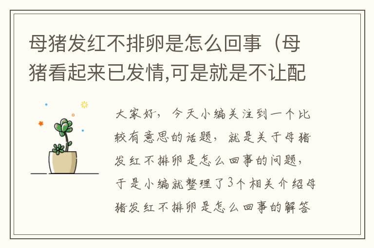 母猪发红不排卵是怎么回事（母猪看起来已发情,可是就是不让配,食量也没有减少。）