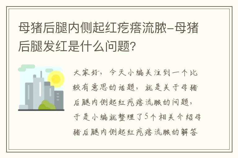 母猪后腿内侧起红疙瘩流脓-母猪后腿发红是什么问题?