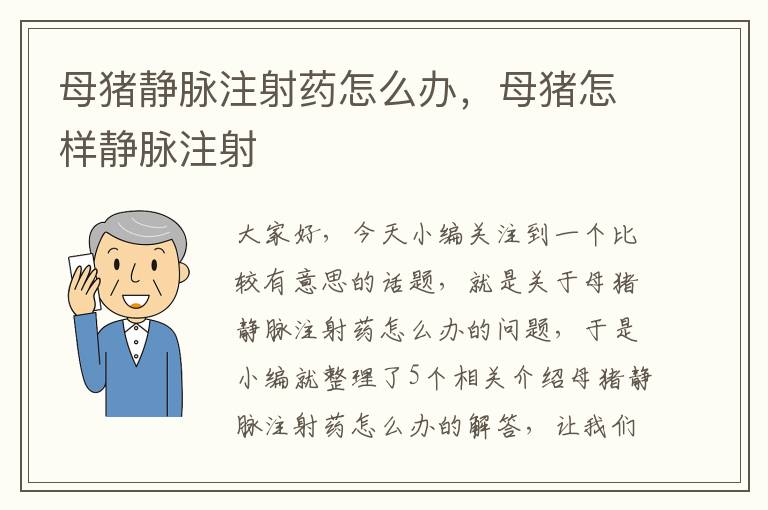 母猪静脉注射药怎么办，母猪怎样静脉注射