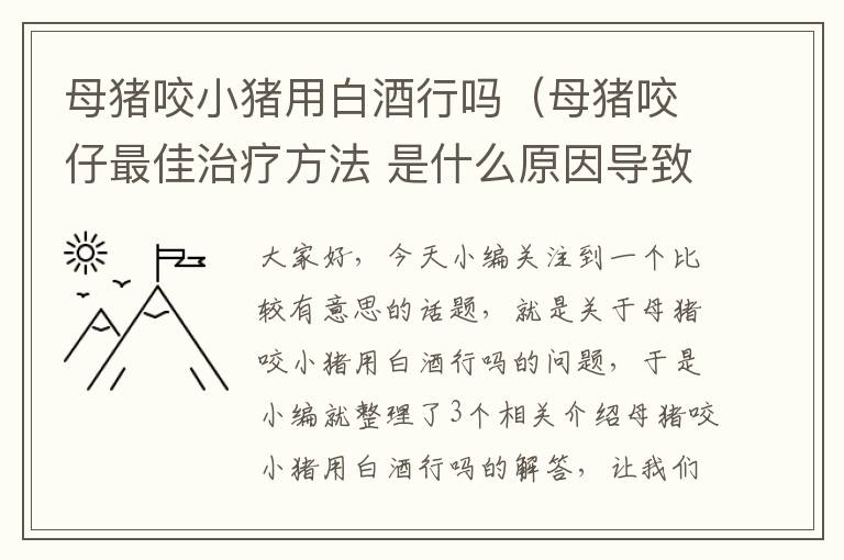 母猪咬小猪用白酒行吗（母猪咬仔最佳治疗方法 是什么原因导致的）