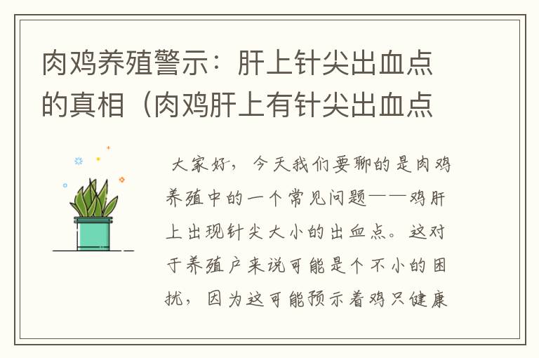 肉鸡养殖警示：肝上针尖出血点的真相（肉鸡肝上有针尖出血点怎么回事）