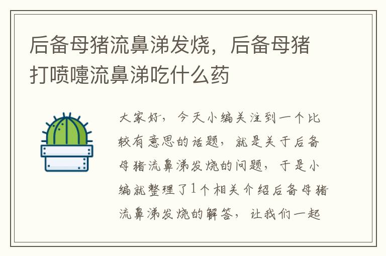 后备母猪流鼻涕发烧，后备母猪打喷嚏流鼻涕吃什么药