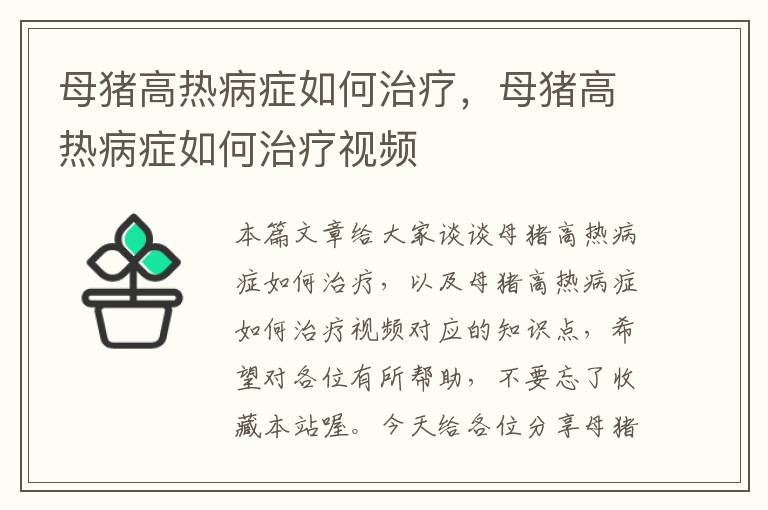 母猪高热病症如何治疗，母猪高热病症如何治疗视频