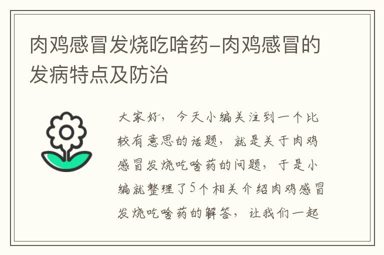 肉鸡感冒发烧吃啥药-肉鸡感冒的发病特点及防治