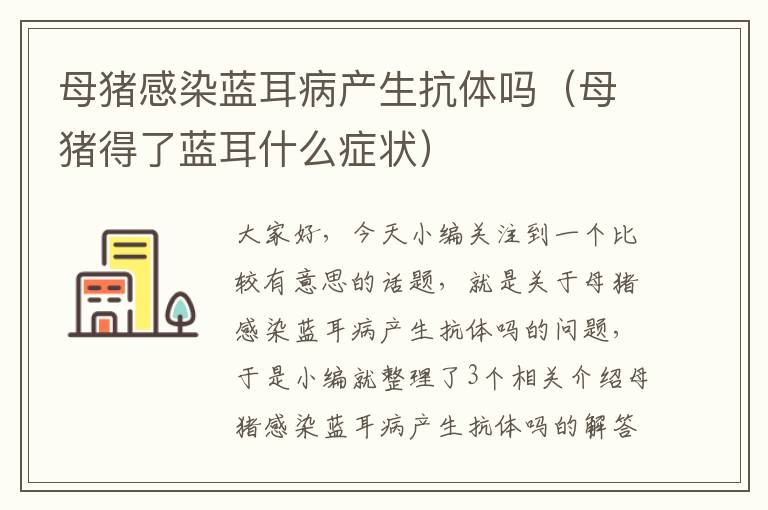 母猪感染蓝耳病产生抗体吗（母猪得了蓝耳什么症状）