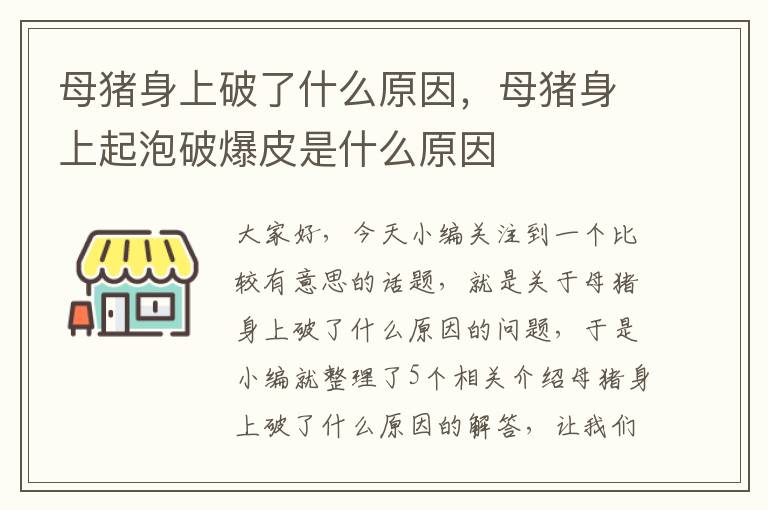 母猪身上破了什么原因，母猪身上起泡破爆皮是什么原因