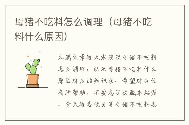 母猪不吃料怎么调理（母猪不吃料什么原因）