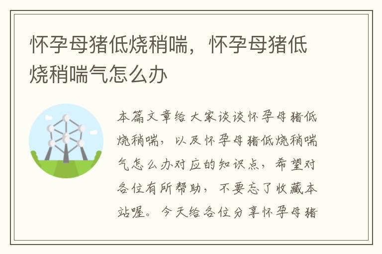 怀孕母猪低烧稍喘，怀孕母猪低烧稍喘气怎么办