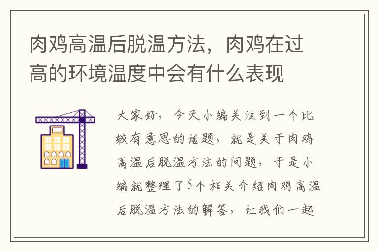 肉鸡高温后脱温方法，肉鸡在过高的环境温度中会有什么表现