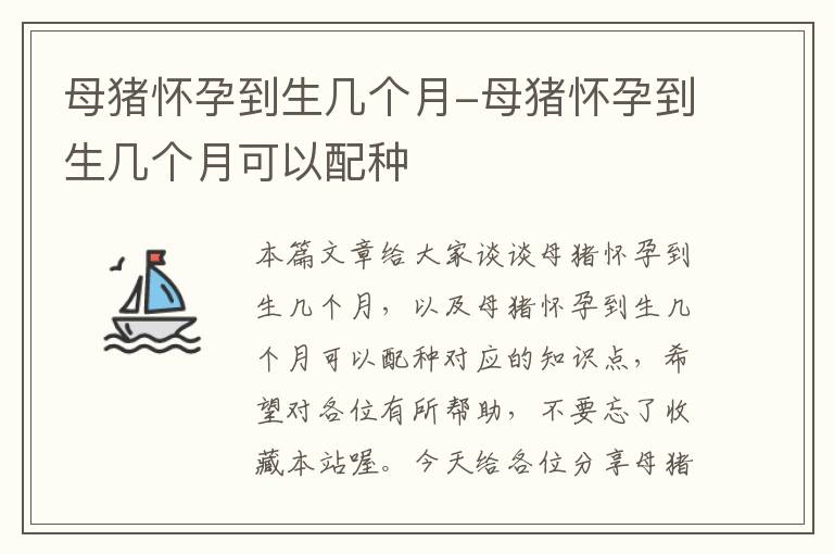 母猪怀孕到生几个月-母猪怀孕到生几个月可以配种