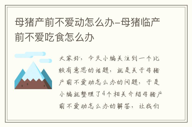 母猪产前不爱动怎么办-母猪临产前不爱吃食怎么办