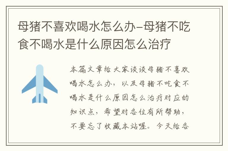 母猪不喜欢喝水怎么办-母猪不吃食不喝水是什么原因怎么治疗