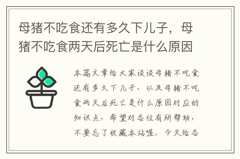 母猪不吃食还有多久下儿子，母猪不吃食两天后死亡是什么原因