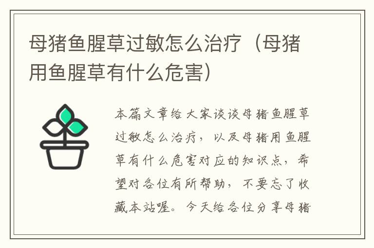 母猪鱼腥草过敏怎么治疗（母猪用鱼腥草有什么危害）