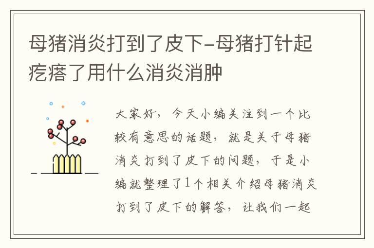 母猪消炎打到了皮下-母猪打针起疙瘩了用什么消炎消肿