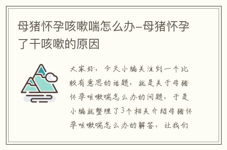 母猪怀孕咳嗽喘怎么办-母猪怀孕了干咳嗽的原因