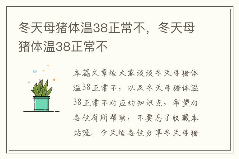 冬天母猪体温38正常不，冬天母猪体温38正常不