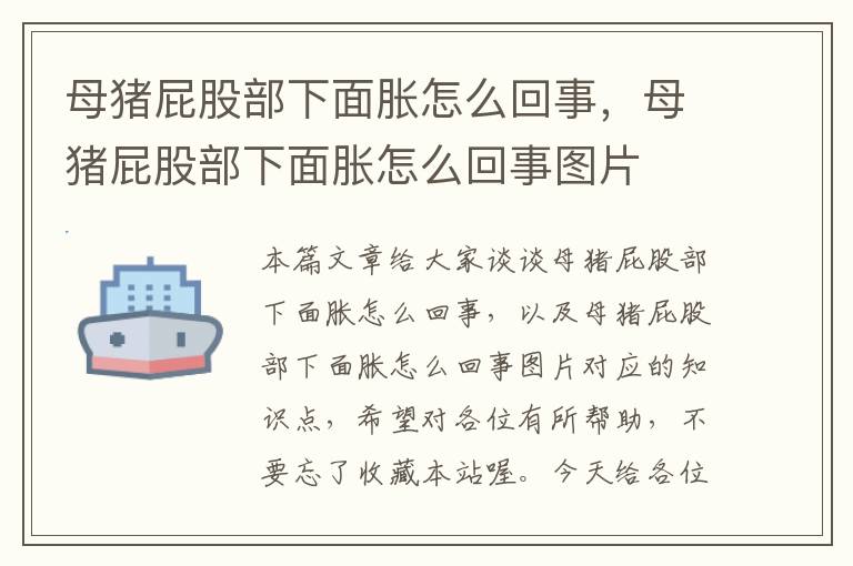 母猪屁股部下面胀怎么回事，母猪屁股部下面胀怎么回事图片