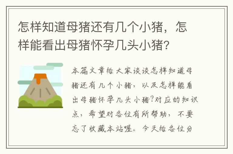 怎样知道母猪还有几个小猪，怎样能看出母猪怀孕几头小猪?