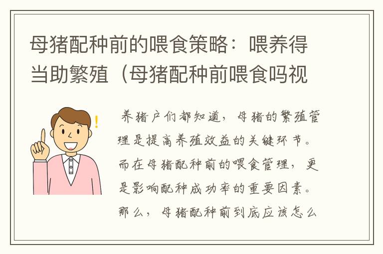 母猪配种前的喂食策略：喂养得当助繁殖（母猪配种前喂食吗视频）