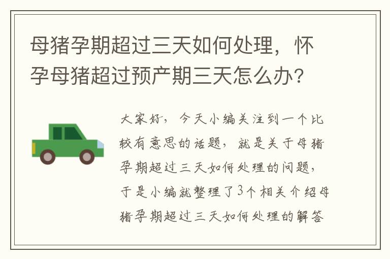 母猪孕期超过三天如何处理，怀孕母猪超过预产期三天怎么办?