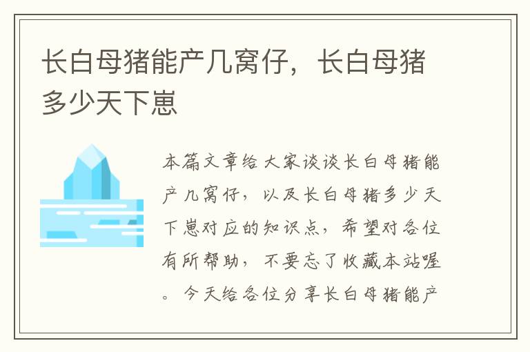 长白母猪能产几窝仔，长白母猪多少天下崽