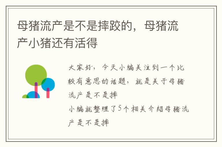 母猪流产是不是摔跤的，母猪流产小猪还有活得