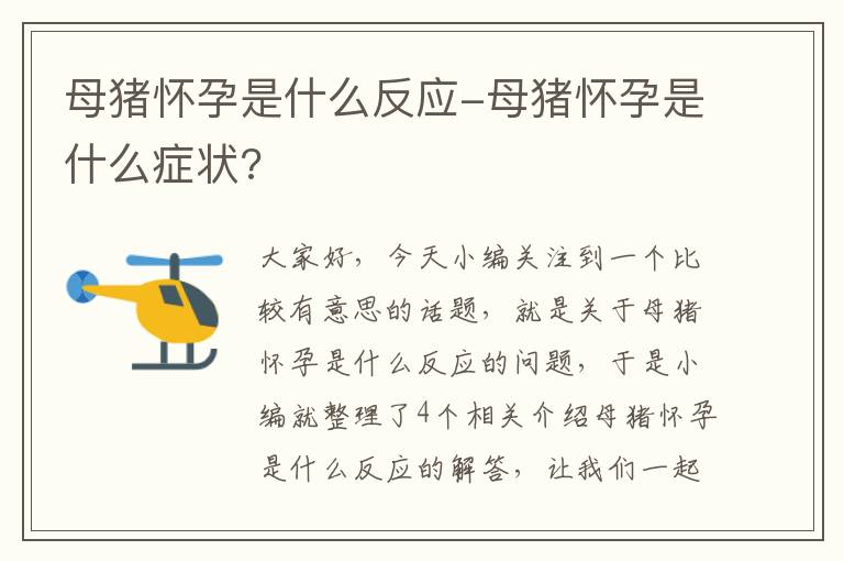 母猪怀孕是什么反应-母猪怀孕是什么症状?