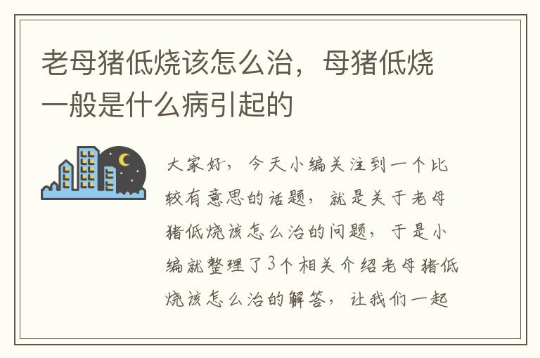 老母猪低烧该怎么治，母猪低烧一般是什么病引起的