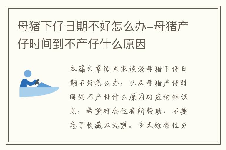 母猪下仔日期不好怎么办-母猪产仔时间到不产仔什么原因