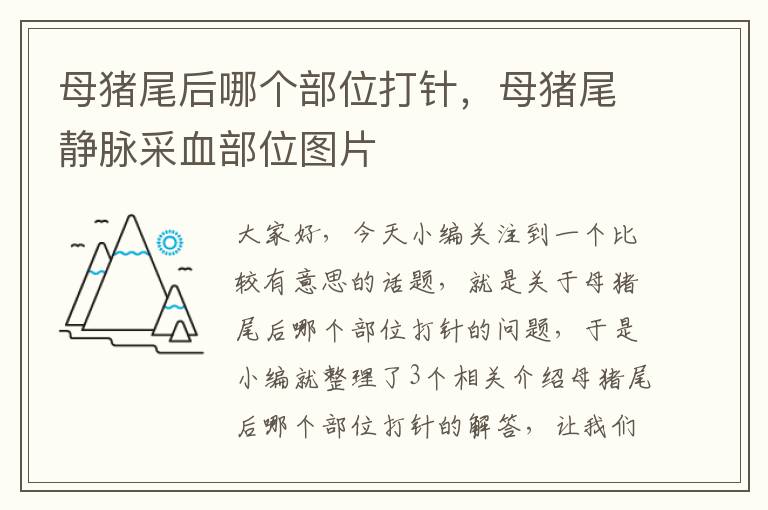 母猪尾后哪个部位打针，母猪尾静脉采血部位图片