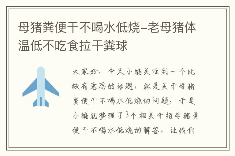 母猪粪便干不喝水低烧-老母猪体温低不吃食拉干粪球