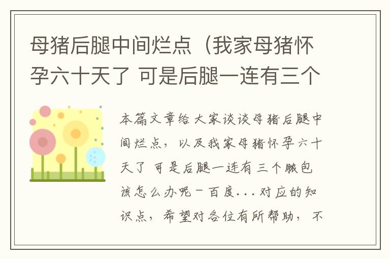 母猪后腿中间烂点（我家母猪怀孕六十天了 可是后腿一连有三个脓包 该怎么办呢 - 百度...）