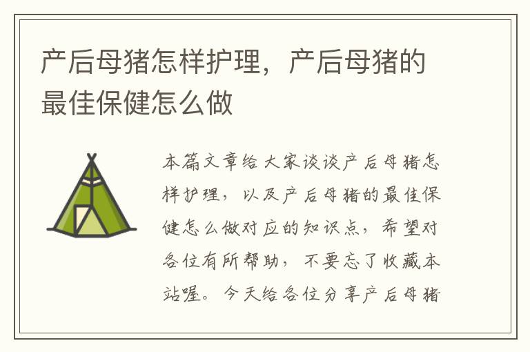 产后母猪怎样护理，产后母猪的最佳保健怎么做