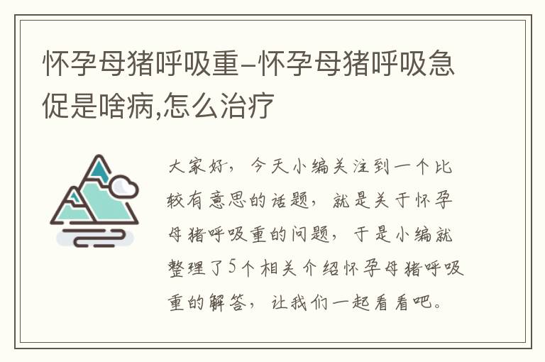 怀孕母猪呼吸重-怀孕母猪呼吸急促是啥病,怎么治疗