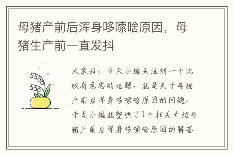 母猪产前后浑身哆嗦啥原因，母猪生产前一直发抖