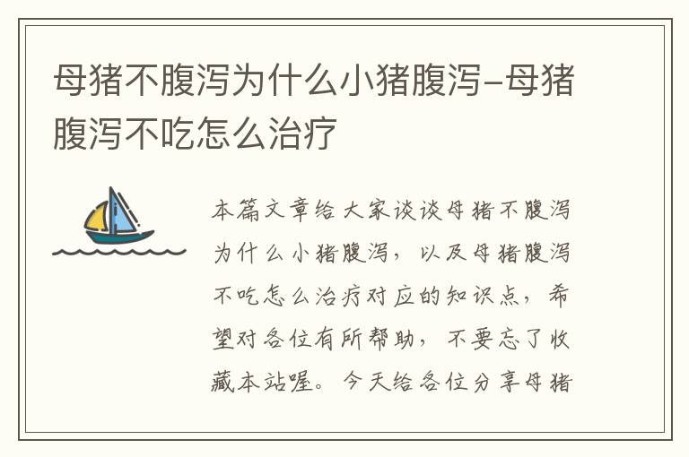 母猪不腹泻为什么小猪腹泻-母猪腹泻不吃怎么治疗