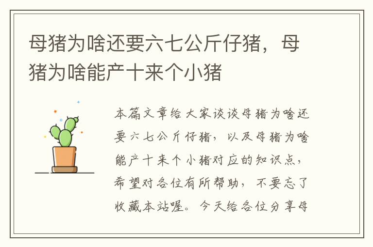 母猪为啥还要六七公斤仔猪，母猪为啥能产十来个小猪