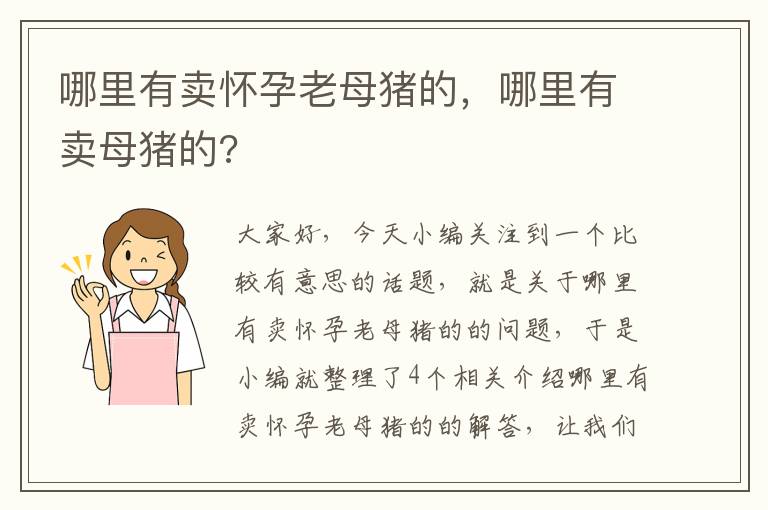 哪里有卖怀孕老母猪的，哪里有卖母猪的?