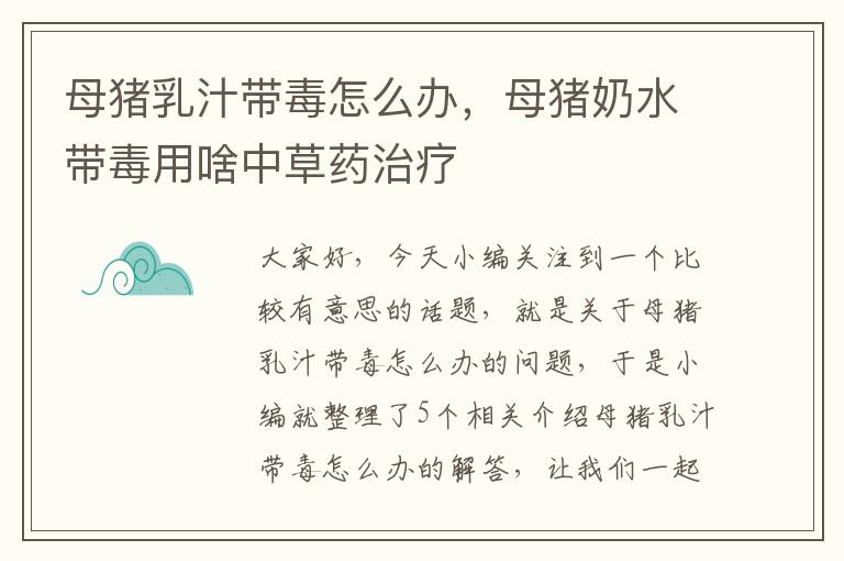 母猪乳汁带毒怎么办，母猪奶水带毒用啥中草药治疗