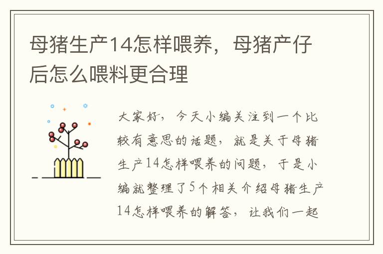 母猪生产14怎样喂养，母猪产仔后怎么喂料更合理