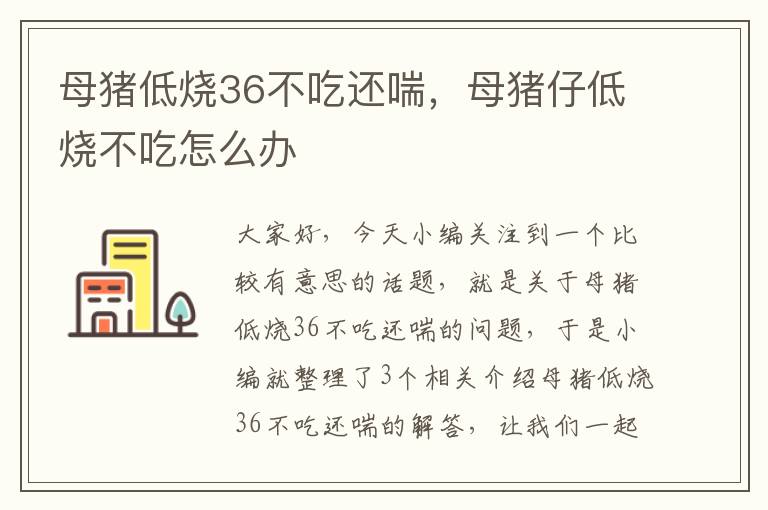 母猪低烧36不吃还喘，母猪仔低烧不吃怎么办