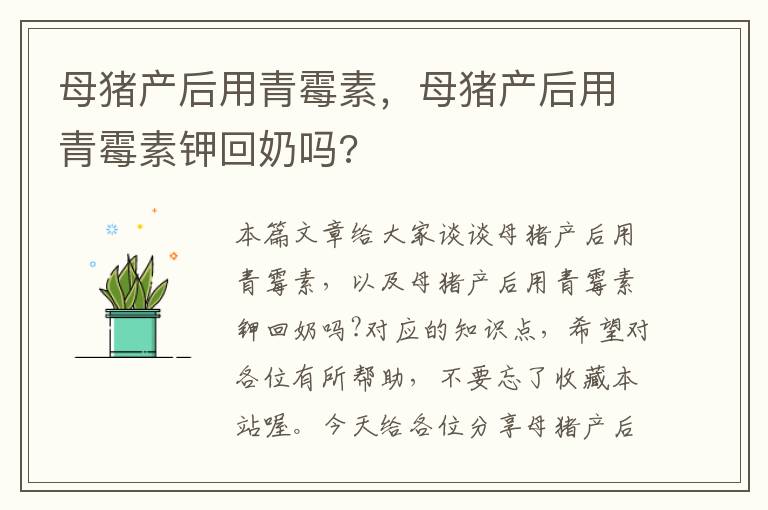 母猪产后用青霉素，母猪产后用青霉素钾回奶吗?