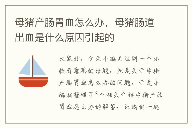 母猪产肠胃血怎么办，母猪肠道出血是什么原因引起的