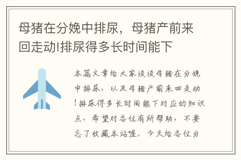 母猪在分娩中排尿，母猪产前来回走动!排尿得多长时间能下