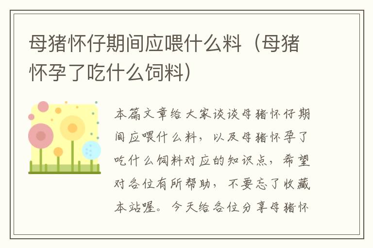 母猪怀仔期间应喂什么料（母猪怀孕了吃什么饲料）