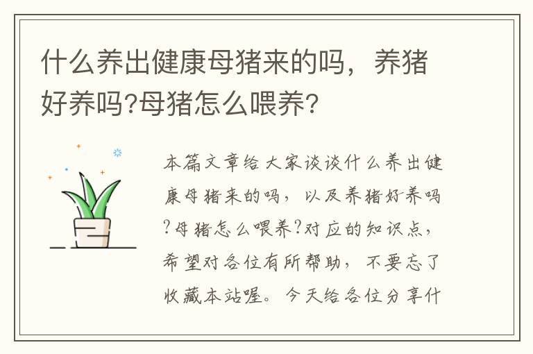 什么养出健康母猪来的吗，养猪好养吗?母猪怎么喂养?