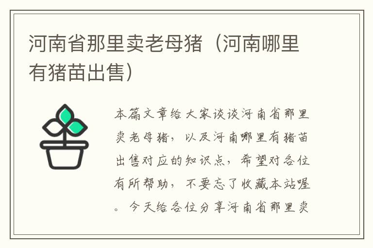 河南省那里卖老母猪（河南哪里有猪苗出售）