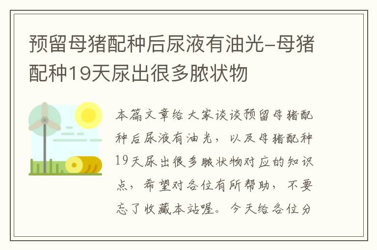 预留母猪配种后尿液有油光-母猪配种19天尿出很多脓状物