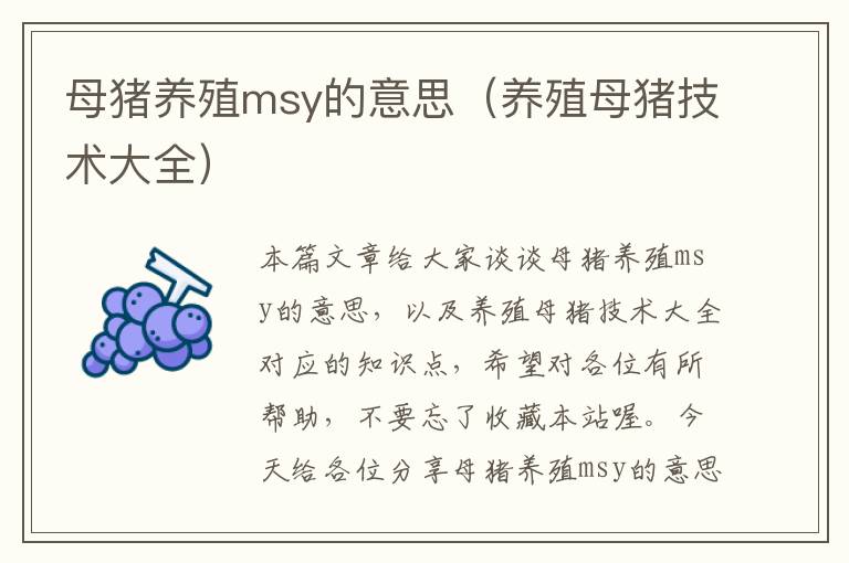 母猪养殖msy的意思（养殖母猪技术大全）